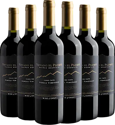 Kit 6 Nevado El Plomo Sacred Moutain Single Vineyard Tinto